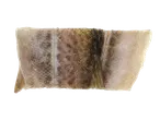 Close-up de uma pele de peixe crua com escamas, mostrando padrões e texturas naturais