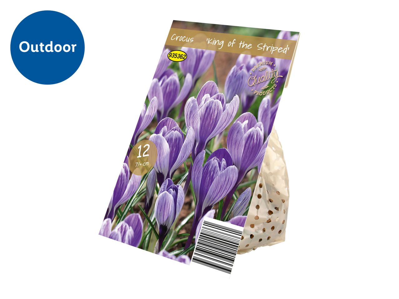 Crocus 'King of the Striped' flower bulbs in packaging for outdoor planting.