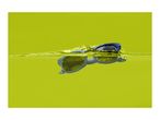 Blue sunglasses partially submerged in vibrant yellow liquid with splashes.