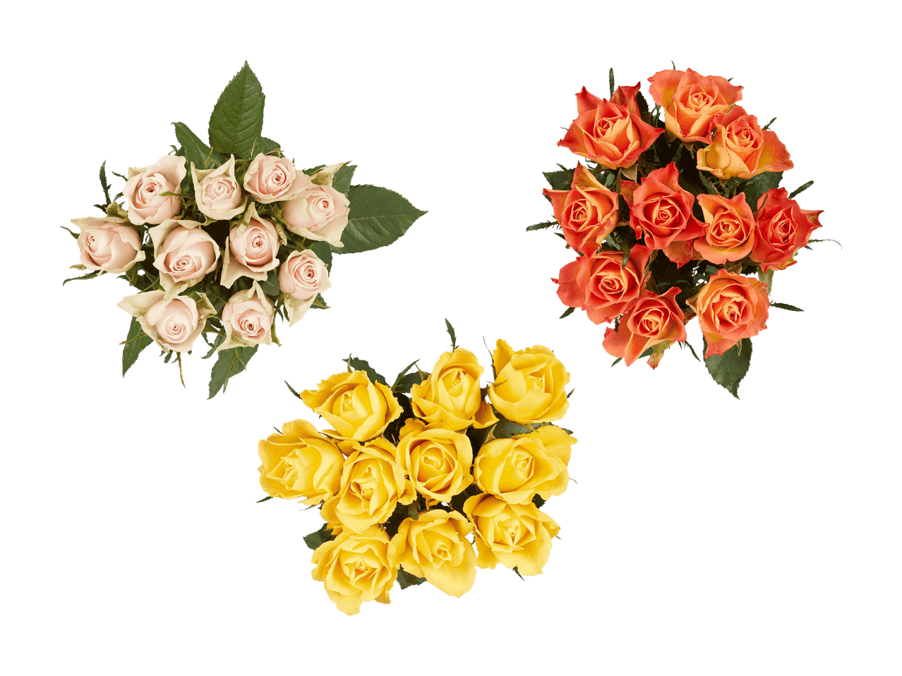 Drei Sträuße Rosen: hellrosa, orange und gelb, auf schwarzem Hintergrund.