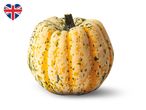 A speckled gourd with yellow and green markings, next to a heart-shaped Union Jack flag.