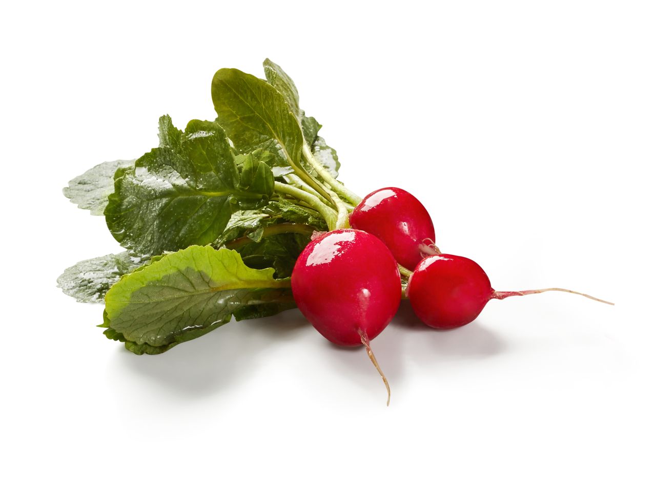 Frische rote Radieschen mit Grün.