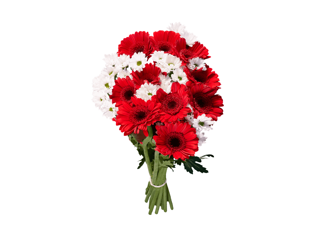Bouquet de fleurs rouges et blanches, composé de gerberas et de chrysanthèmes.