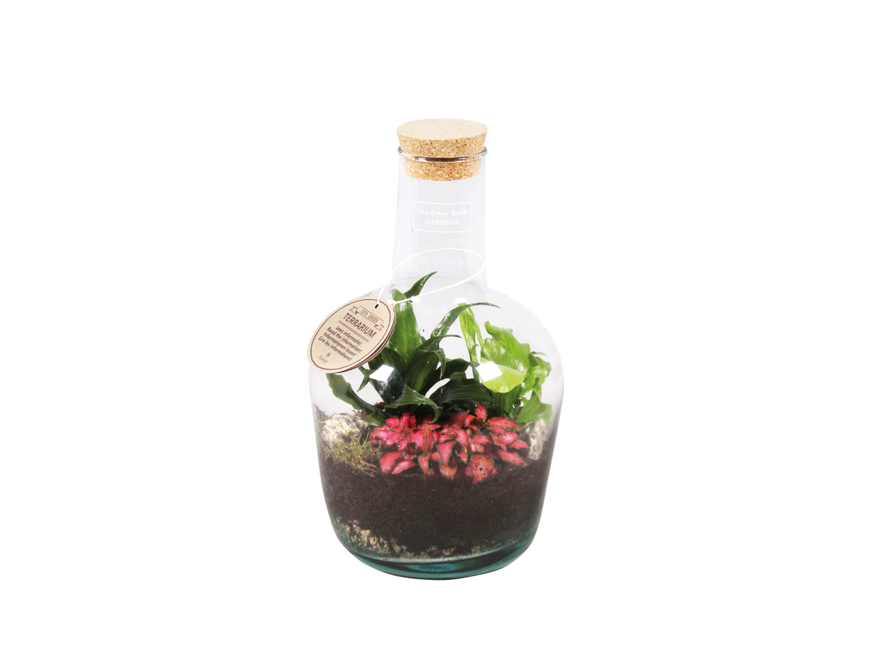 Een glazen fles met kurken stop bevat een kleine terrariumtuin.