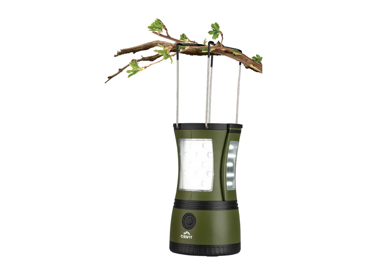 Green camping lantern with LED lights hanging from a tree branch with fresh green leaves.