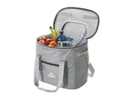 Grey cooler bag filled with fruit, a water bottle, and food containers.