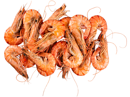 Virtos krevetės