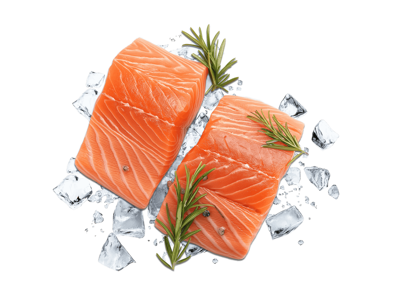 Zwei frische Lachsfilets mit Rosmarin und Eiswürfeln auf schwarzem Hintergrund.