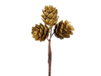 Three golden pine cones on a stem, part of a Christmas dried pick mix.