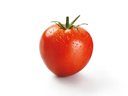 Bioland Deutsche Strauchtomaten