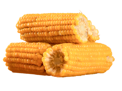 Kukurūzų burbuolės, 1 kg