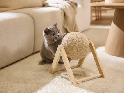 MAX & MILA’S WORLD Драскалка за котка