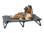 A merle Australian Shepherd dog lying on a gray elevated pet bed.