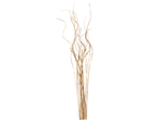 Golden dried grass stems for decoration.