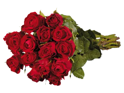 Rózsa- / tulipáncsokor