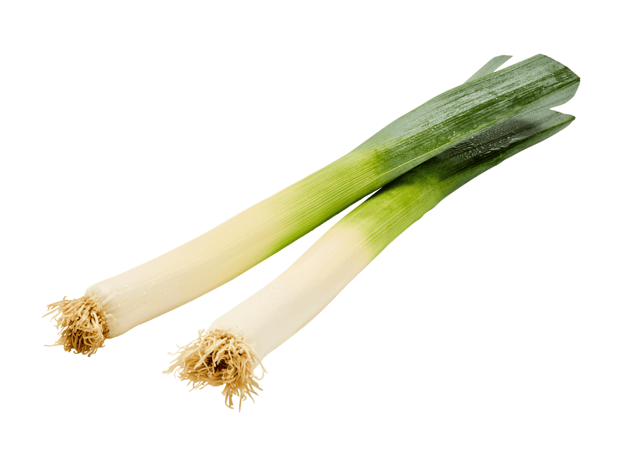 Kaksi tuoretta purjosipulia valkoisella taustalla.