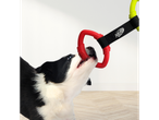 Um cão Border Collie brinca com um anel Nerf Dog.