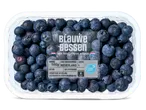 500g Blauww Bessen blauwe bessen uit Nederland.
