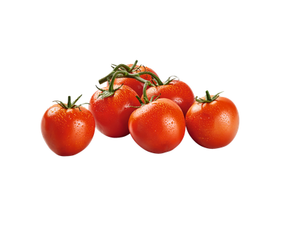 Pomidorai su šakelėmis 