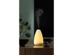 Difuzor de aromă cu ultrasunete LIVARNO home care emite ceață, cu plantă și pietre