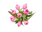 Um buquê de tulipas rosas.