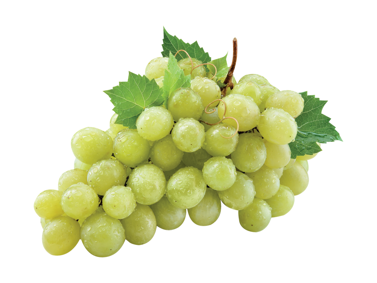 Svaigas zaļās vīnogas ar lapām un ūdens pilieniem uz melna fona