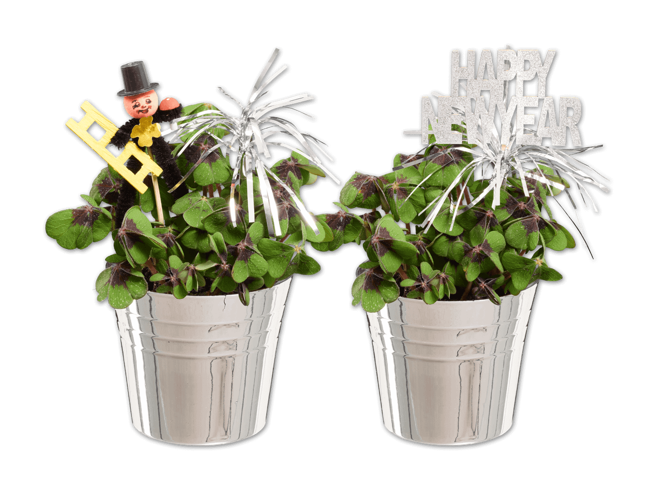Zwei Glücksklee-Pflanzen in silbernen Töpfen mit Schornsteinfeger- und Neujahrsdekoration.