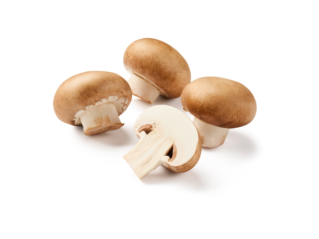 Cogumelos castanhos, um cortado ao meio