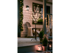 LIVARNO home LED Light Tree on a cozy porch with festive decorations