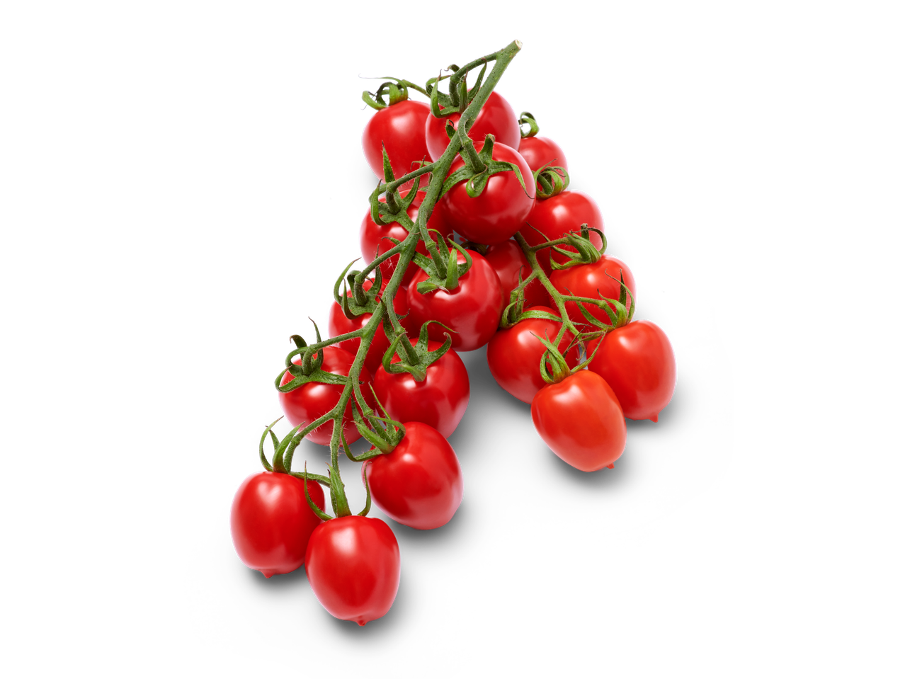 Verse rode cherrytomaatjes aan de tak.