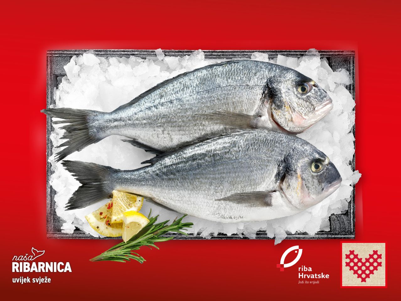 Dvije svježe ribe na ledu u drvenom sanduku, promocija ribarnice.