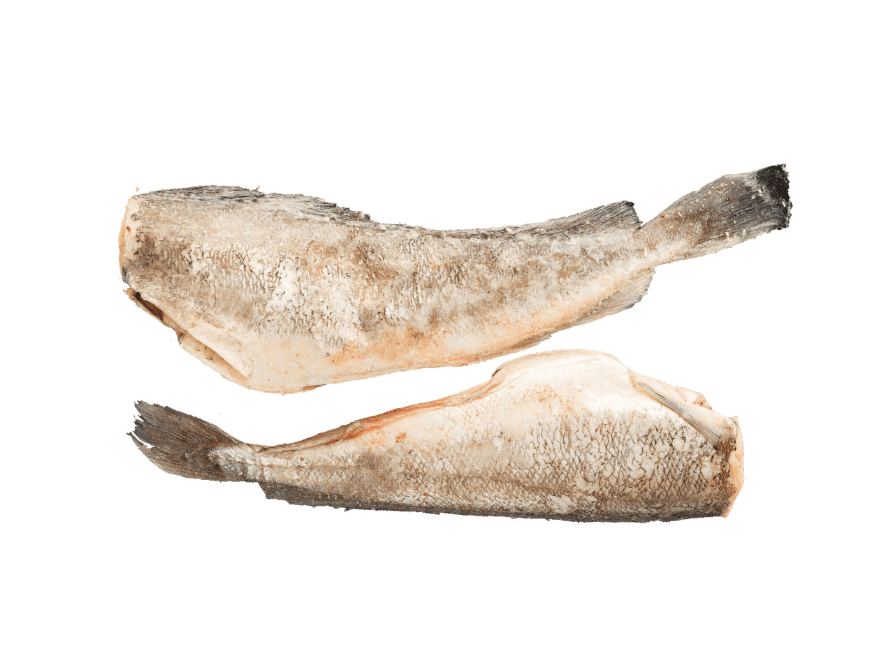 Dvi šaldytos žuvys be galvų, gulinčios viena virš kitos.