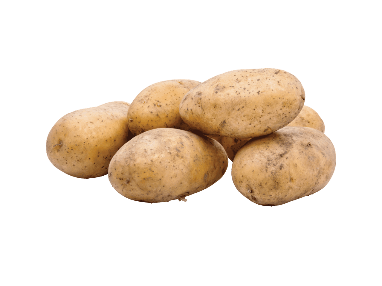 Šviežios, neplautos bulvės su žemėmis