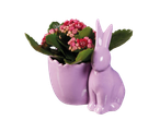 Easter ceramic bunny plant pot with pink flowers