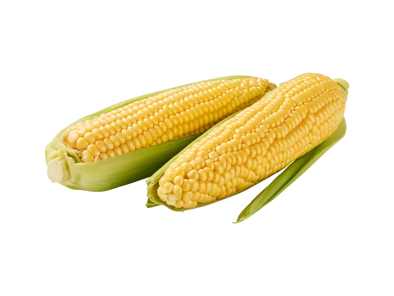 Dva klipa kukuruza sa zelenim listovima na crnoj pozadini.