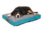 Large black, brown, and white dog lying on a grey and teal pet bed.