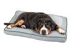 A large black, brown, and white dog lying on a light grey Zoofari dog bed.