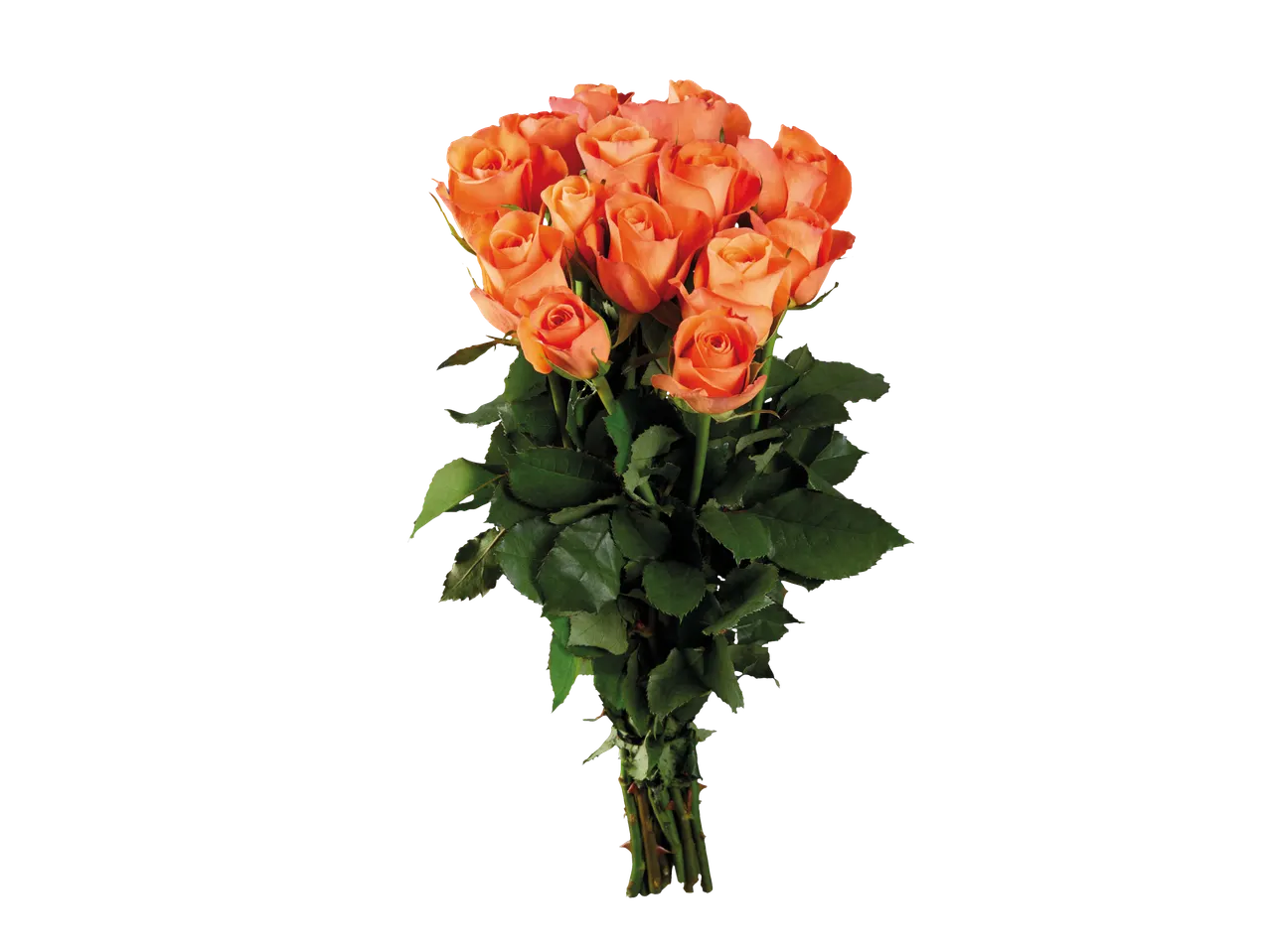 Um buquê de rosas laranja-escuro.