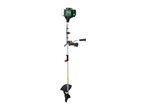 Petrol brush cutter with a green engine, silver shaft, and black cutting blade.