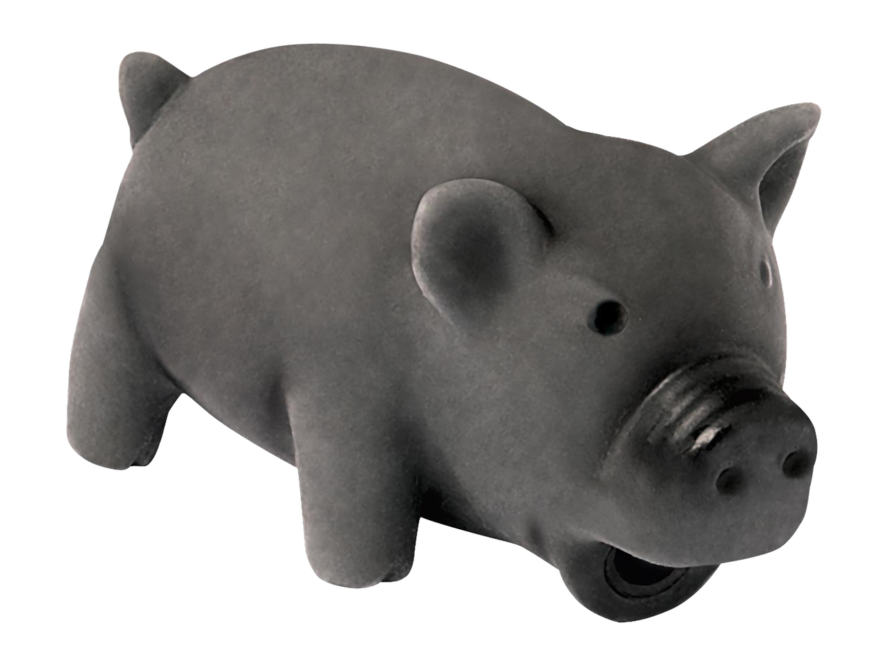 Szürke malacpersely fekete háttérrel.