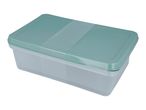 Rectangular food storage container with a light green lid and a transparent body
