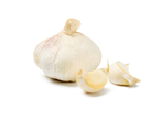A head of garlic and two peeled garlic cloves on a white background.