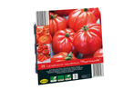 25 Marmande tomato seeds in mini greenhouse.
