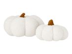 Two white sherpa pumpkins with brown stems, one larger than the other.