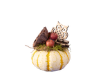 Herfstdecoratie in een pompoen met mos, kleine appeltjes en een houten uil