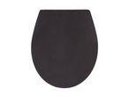 A dark gray toilet seat.