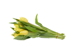 Buquê de tulipas amarelas.