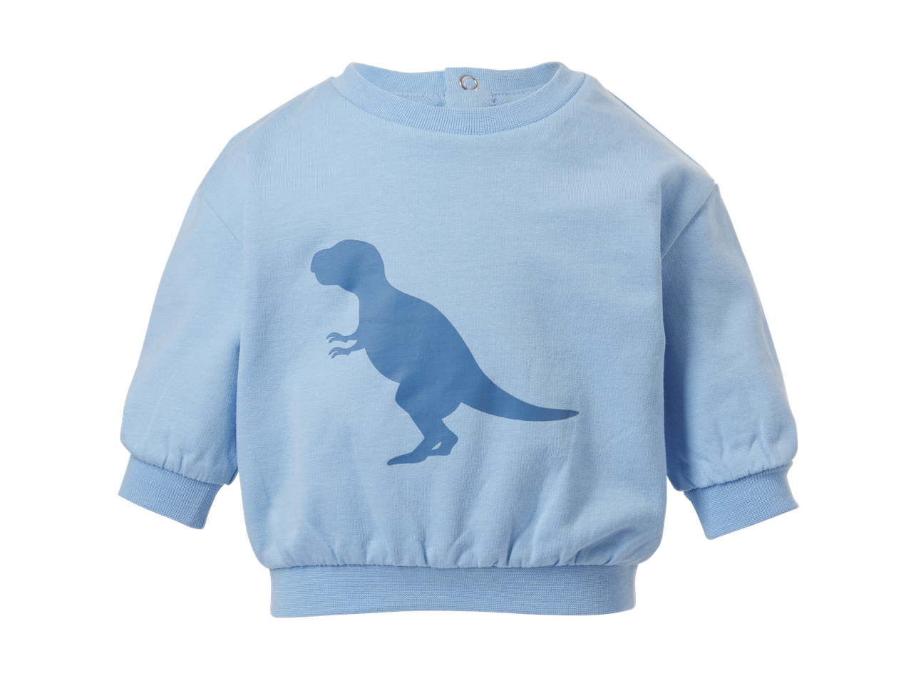 Lichtblauwe lupilu sweatpullover met dinosaurusprint.