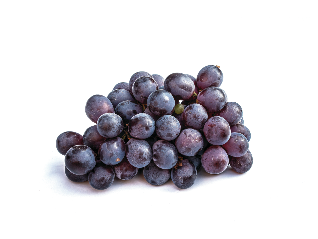 Lähivõte tumedatest viinamarjadest valgel taustal.