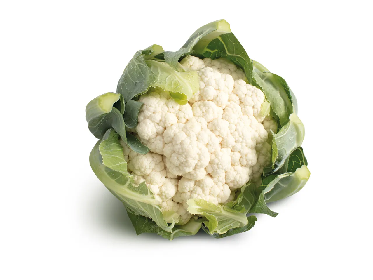 A fresh head of cauliflower.